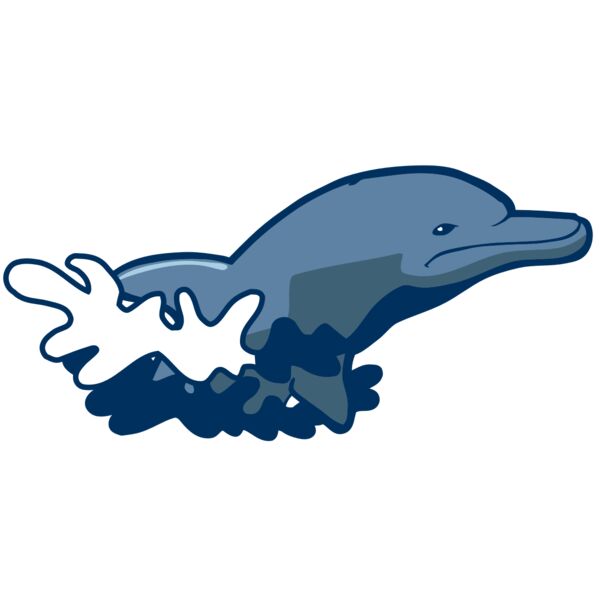 AR DOLPIN 10 RC Thumbnail